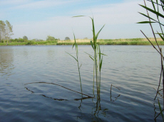 rekreačné stredisko stanové mestečko kemping celoročné vidiecke domy izby ubytovanie ubytovanie v Poľsku Baltské more Leba